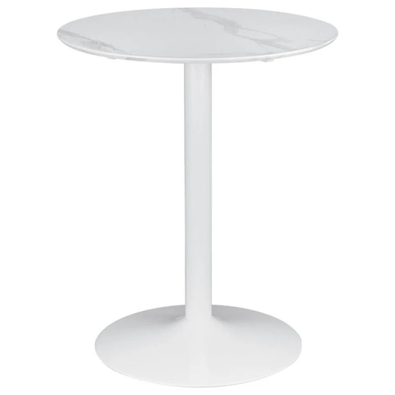 Coaster Home Furnishings Coaster Arkell Round Pedestal Counter Height Table In White 1 Coaster Home Furnishings Coaster Arkell Round Pedestal Counter Height Table In White