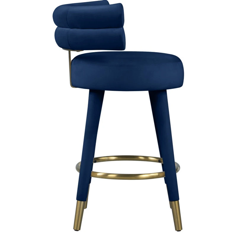 Meridian Furniture Fitzroy Velvet Upholstered Counter Height Stool, Set Of 2 4 Meridian Furniture Fitzroy Velvet Upholstered Counter Height Stool, Set Of 2 - Image 4