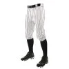 Champro Triple Crown Pinstripe Knickers - Youth