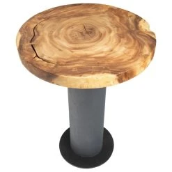 Phillips Collection Chamcha Wood Bar Table, Concrete Base 21 Phillips Collection Chamcha Wood Bar Table, Concrete Base -CHAMPRO shop fac129be0f220972 4190 w800 h800 b1 p0